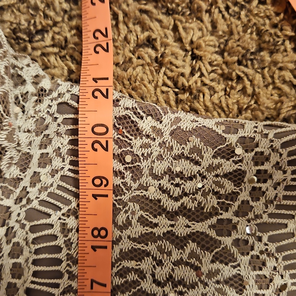 Taupe Lacey Dress| Jessica Howard| W Sz. 14 |Bridal, Winter Formal, Fairycore - Picture 9 of 13